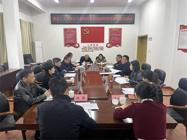 4月7日，縣人大常委會(huì)主任梅代軍帶隊(duì)專題調(diào)研徽投集團(tuán)經(jīng)濟(jì)稅源情況，集團(tuán)洪董、葉總、方總參加調(diào)研座談。.jpg