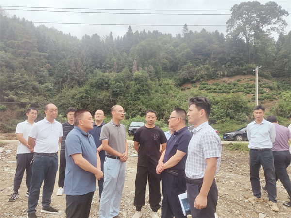 10月1日，洪董，余總陪同汪凱書記一行到紹濂鄉(xiāng)清溪村調(diào)研.jpg