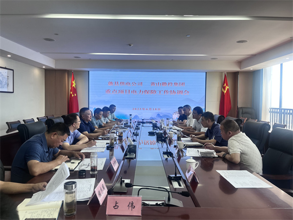 6月18日，歙縣供電公司總經(jīng)理張杰帶隊(duì)赴集團(tuán)就重點(diǎn)項(xiàng)目電力保障工作進(jìn)行座談交流，洪董、潘總、余總、張總，市政、逸寧等單位參加座談。.jpg