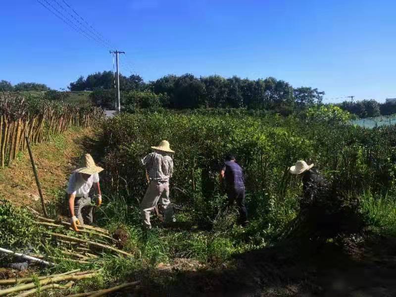 1656923864246734.jpg ac535ec4820b6287525566afdfe65fe.jpg