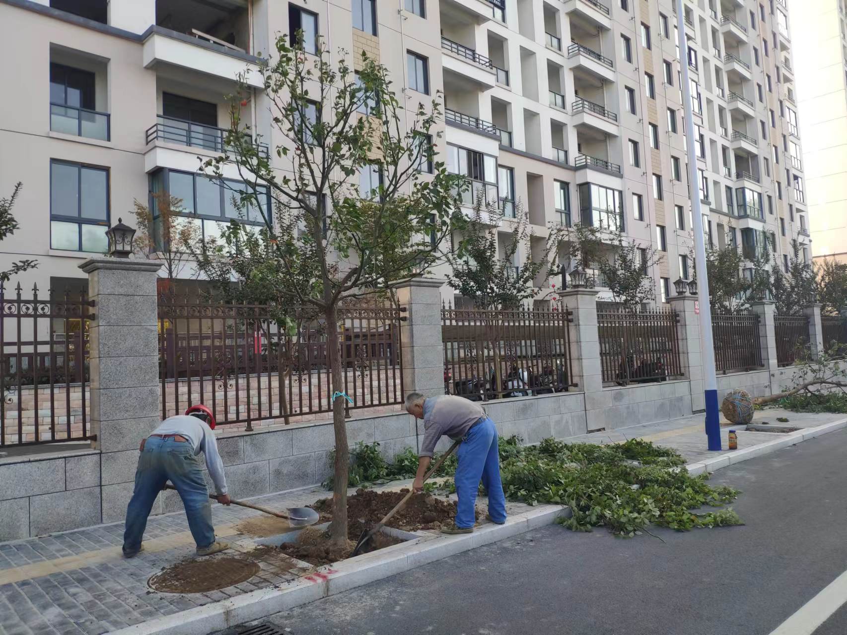 1667957160112736.jpg 揚中路.jpg