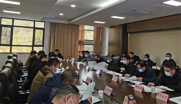 12月14日，王奇勇縣長(zhǎng)主持召開望豐項(xiàng)目工作專班推進(jìn)會(huì).jpg